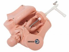 高級手搖分娩綜合技能訓練模型