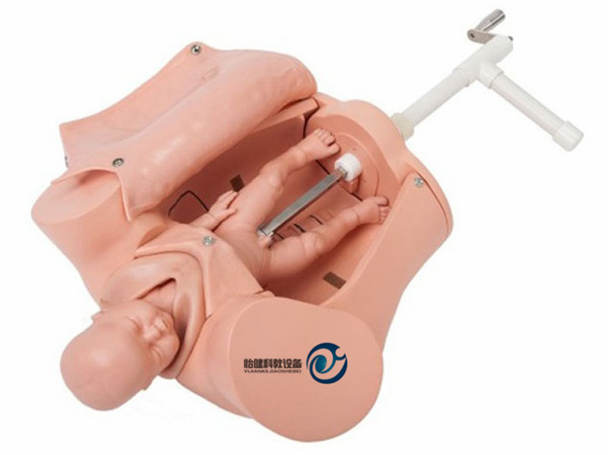 高級手搖分娩綜合技能訓練模型