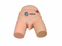 高級男性導尿模型