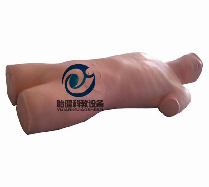 鎖骨下靜脈穿刺模型(電子監測)