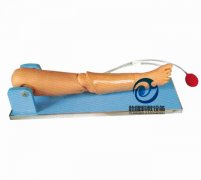 兒童骨穿及股靜脈穿刺操作模型