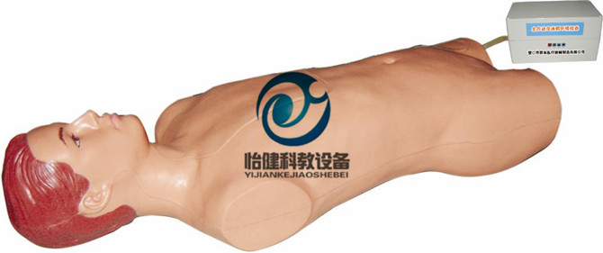 高級中心靜脈穿刺注射軀干模型