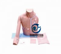 靜脈介入操作模型(帶手臂)