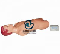 股動(dòng)脈自動(dòng)搏動(dòng)穿刺模擬人