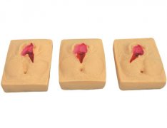 高級硅膠會陰切開縫合練習模型