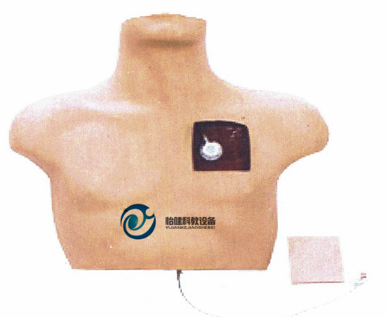 靜脈介入訓練模型