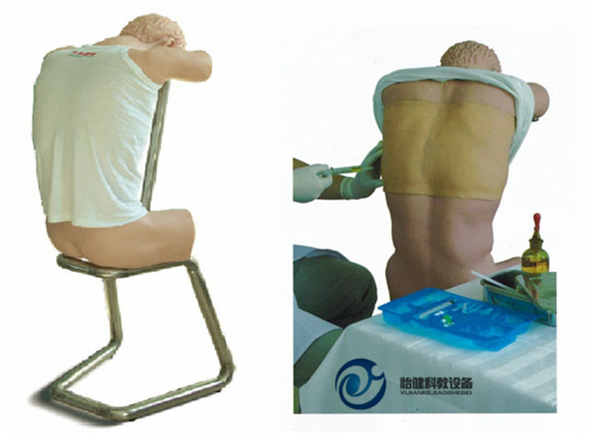 胸腔(背部)穿刺訓練模型