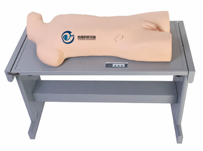 肝膿腫穿刺與胸腔穿刺訓練模型