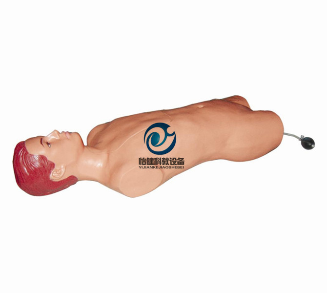 股動脈穿刺模型