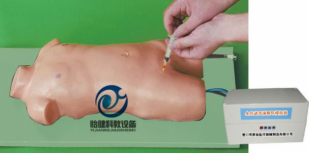 兒童股靜脈與股動脈穿刺電動模型